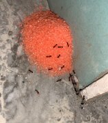 Фото из отзыва пользователя