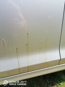 Фото из отзыва пользователя