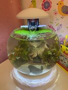 Фото из отзыва пользователя