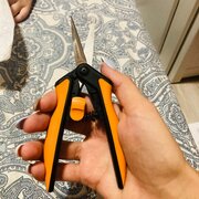 Фото из отзыва пользователя