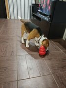 Фото из отзыва пользователя