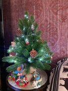 Фото из отзыва пользователя