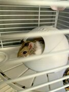 Фото из отзыва пользователя