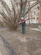 Фото из отзыва пользователя