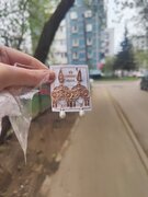 Фото из отзыва пользователя