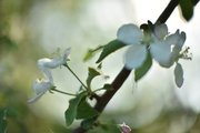 Фото из отзыва пользователя