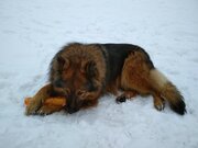 Фото из отзыва пользователя