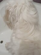 Фото из отзыва пользователя