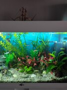 Фото из отзыва пользователя