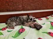 Фото из отзыва пользователя