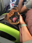 Фото из отзыва пользователя