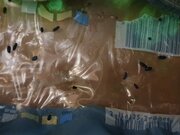 Фото из отзыва пользователя