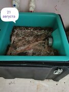 Фото из отзыва пользователя