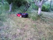 Фото из отзыва пользователя