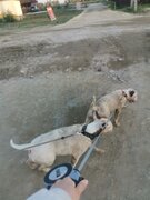 Фото из отзыва пользователя