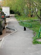 Фото из отзыва пользователя