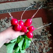 Фото из отзыва пользователя