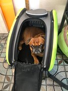 Фото из отзыва пользователя