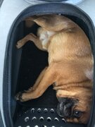 Фото из отзыва пользователя