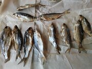 Фото из отзыва пользователя