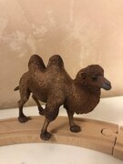 Фото из отзыва пользователя