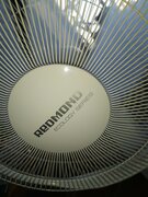 Фото из отзыва пользователя