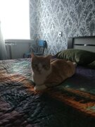 Фото из отзыва пользователя