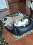 Фото из отзыва пользователя