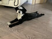 Фото из отзыва пользователя