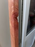 Фото из отзыва пользователя