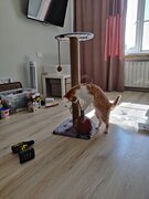 Фото из отзыва пользователя