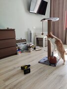 Фото из отзыва пользователя