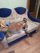 Фото из отзыва пользователя