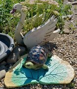 Фото из отзыва пользователя