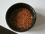 Фото из отзыва пользователя