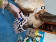 Фото из отзыва пользователя