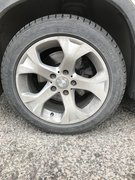 Фото из отзыва пользователя