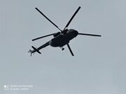 Фото из отзыва пользователя