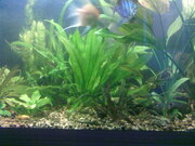 Фото из отзыва пользователя