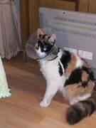 Фото из отзыва пользователя