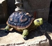 Фото из отзыва пользователя