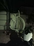 Фото из отзыва пользователя