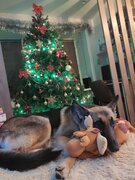 Фото из отзыва пользователя