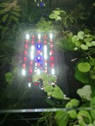 Фото из отзыва пользователя