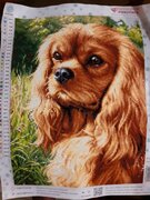 Фото из отзыва пользователя