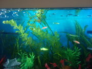 Фото из отзыва пользователя