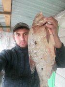 Фото из отзыва пользователя