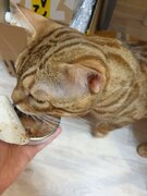 Фото из отзыва пользователя