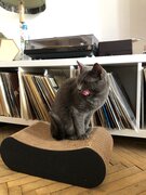 Фото из отзыва пользователя