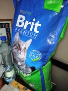 Фото из отзыва пользователя